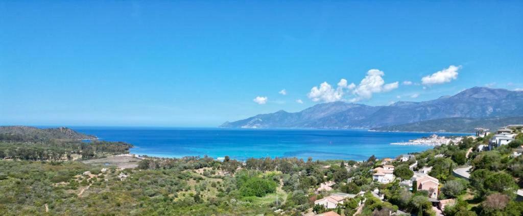 Studio, Vue Sur Mer Et Montagne Saint-Florent  Exterior photo